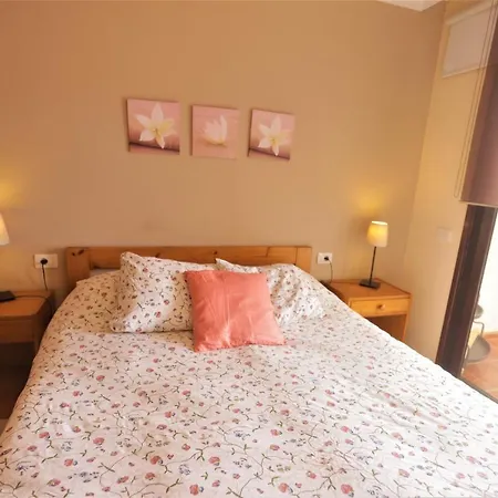 In Bajamar Near Coast * La Laguna (Tenerife)